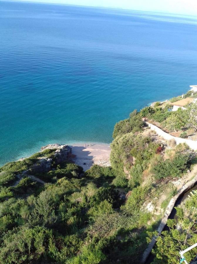 Blue Sea Apartments Кєпаро Екстер'єр фото